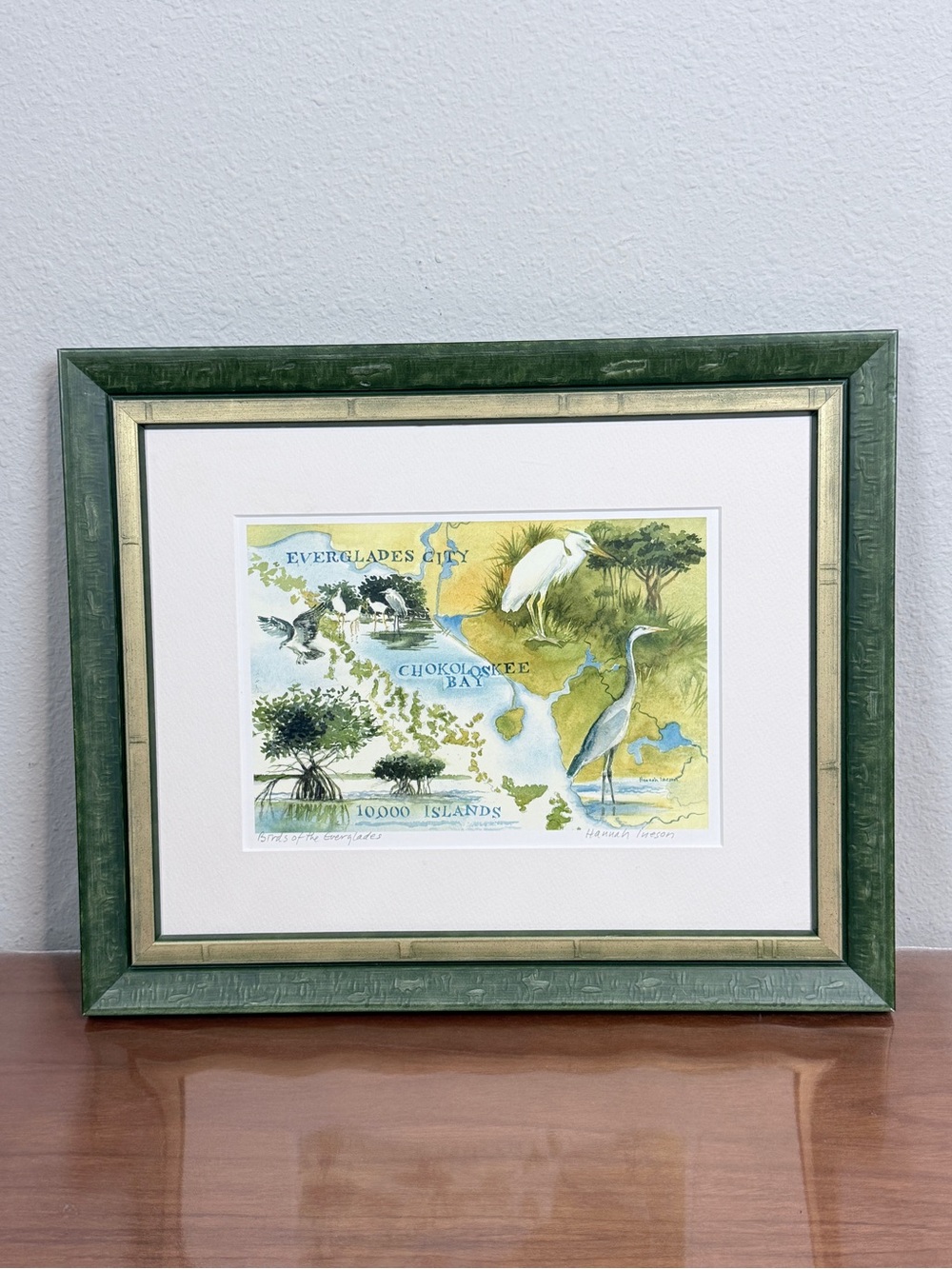 Birds of the Everglades, Florida Watercolor Print by Hannah Ineson Framed 17x14